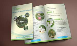 SSEV